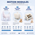 E-Motion &Non E-Motion Modules