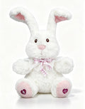 E-Rabbit Toy