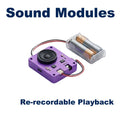 Re-recordable Playback Sound Module